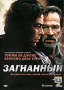 Загнанный Формат: VHS (Пластиковый бокс) Дистрибьютор: Пирамида HiFi Stereo ; Дубляж Лицензионные товары Характеристики видеоносителей 2003 г , 94 мин , США Alphaville Films, Lakeshore Entertainment Художественный кинофильм инфо 7150o.