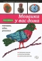 Мозаика у вас дома Техники, идеи, решения Серия: Азбука рукоделия инфо 262q.